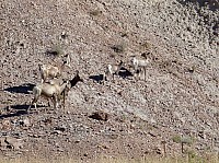 Badlands (14).JPG